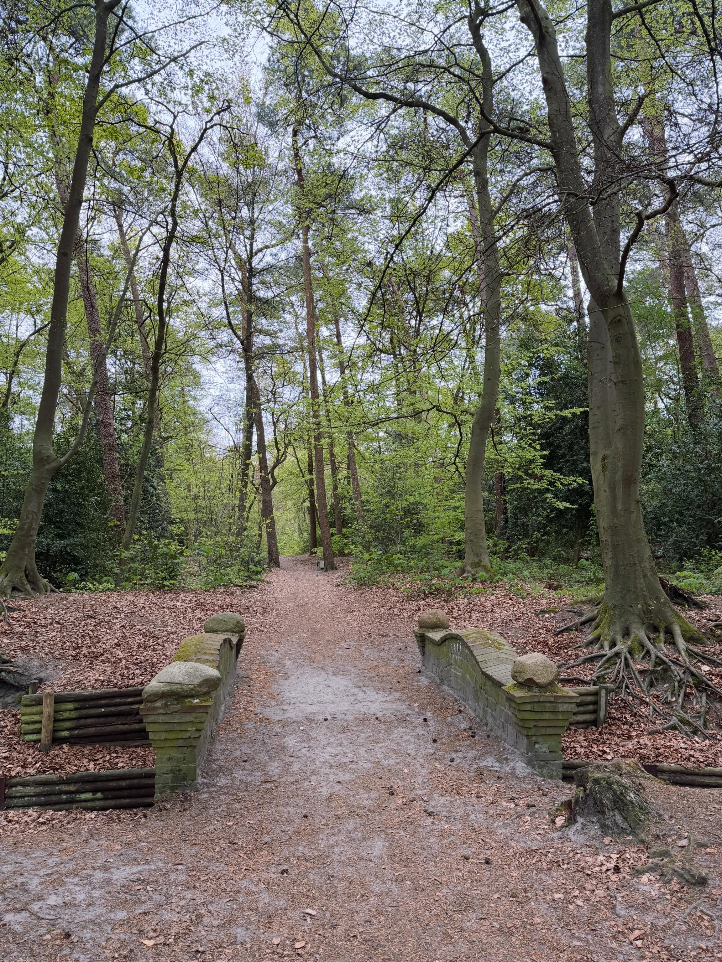Gistermiddag waren we zomaar de kinderen kwijt aan opa & oma, dus spontaan besloten om naar Nunspeet te rijden voor een wandeling (5,8km) 💚😍🐕
#wandelen #wandellust #wandeling #aandewandel