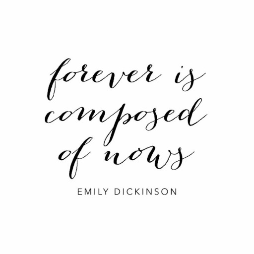 ♡♡♡

#emilydickinson #emilydickinsonpoetry #foreveriscomposedofnows #poetry #dickinson