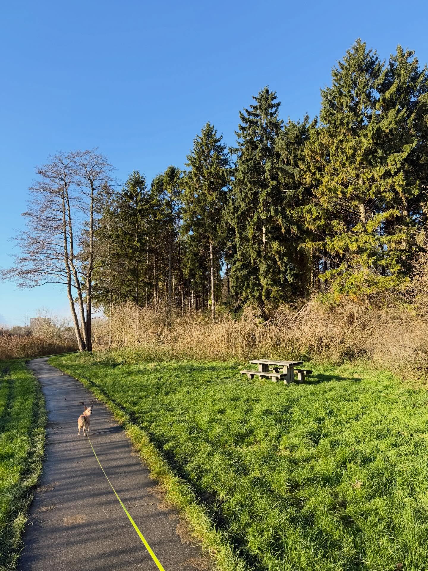 Helaas door te onbetrouwbaar weer niet ‘uit wandelen’ vanmorgen… 🥲 Gelukkig vanuit huis op een mooi zonnig moment wel een lekkere 5km kunnen lopen! 🐕 (maar ik ga toch écht liever de polder uit voor een mooie wandeling 😉💚) #zondag #wandelen #ikwandelgraag