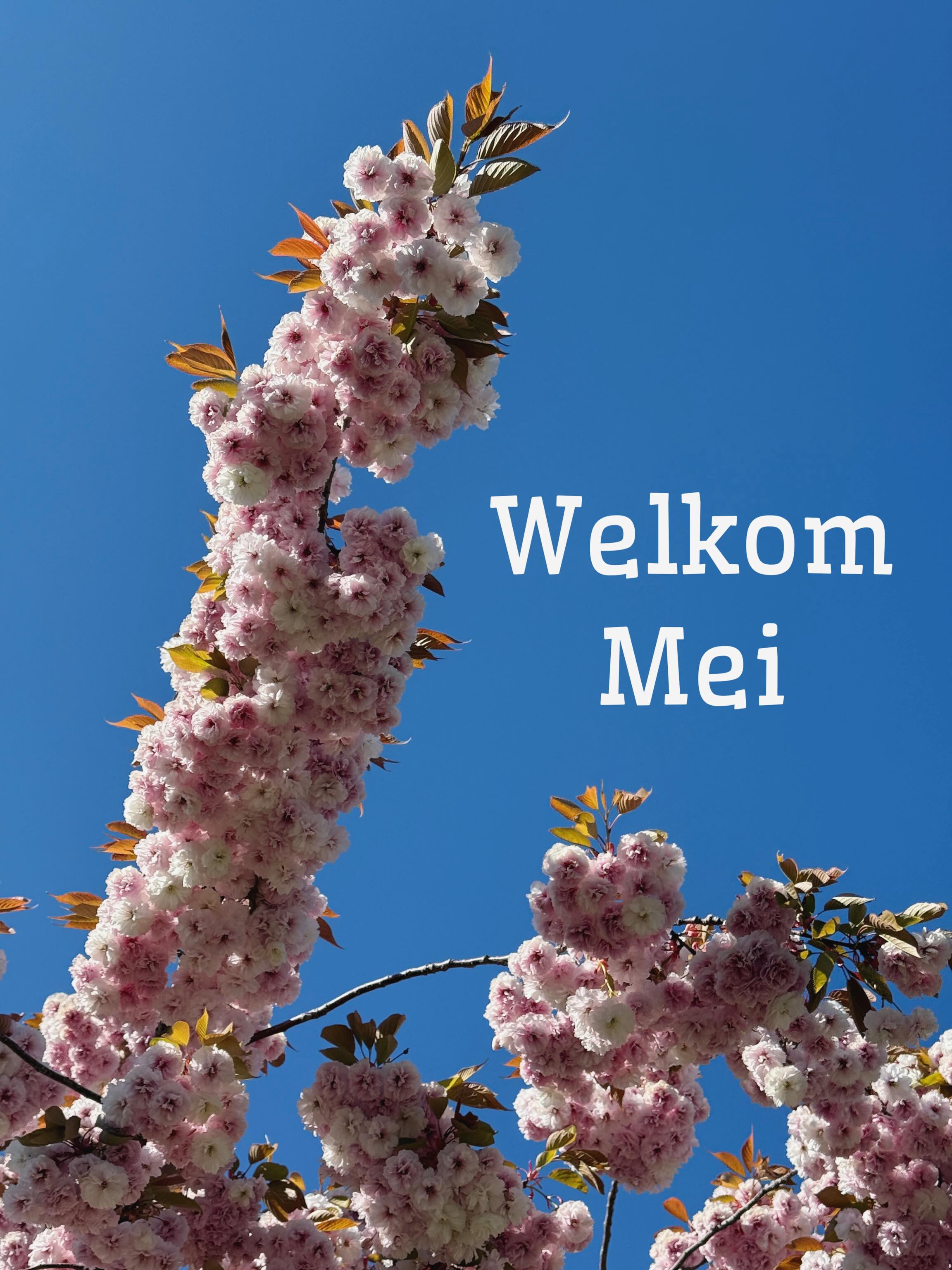 Fijne nieuwe maand! 🌸
#mei #may #itsgonnabemay