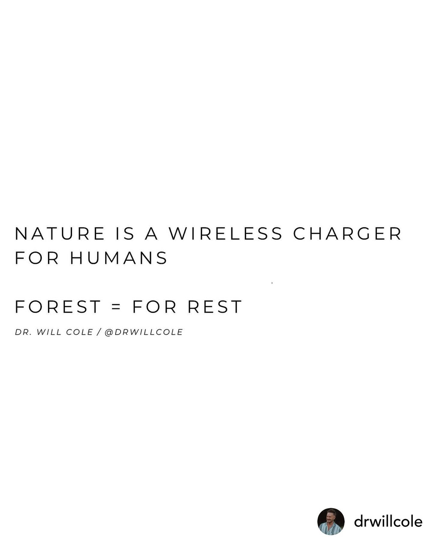 🌲🍁🌳
Regram • @drwillcole Who’s with me? 🌲 🌲  
 
🌳 (…) an article I wrote with the top things I “prescribe” to telehealth patients to connect with nature in simple, practical ways. The Japanese term for this is called “shin rin yoku “ or forest bathing. Taking in nature with all of your senses. To use nature as a medicine and nature as a meditation to support balanced hormones, lower inflammation, regulate the nervous system and support microbiome health. Even pictures of nature or house plants can support the parasympathetic rest and digest aspect of the nervous system. 
                   
 #ArtofBeingWell #selfhealers #selfhealers #shinrinyoku #forestbathing #forest #forrest